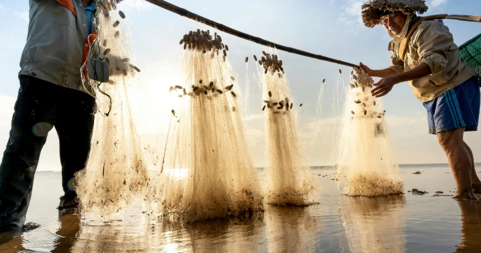 Fishing Experiences at Madh Island