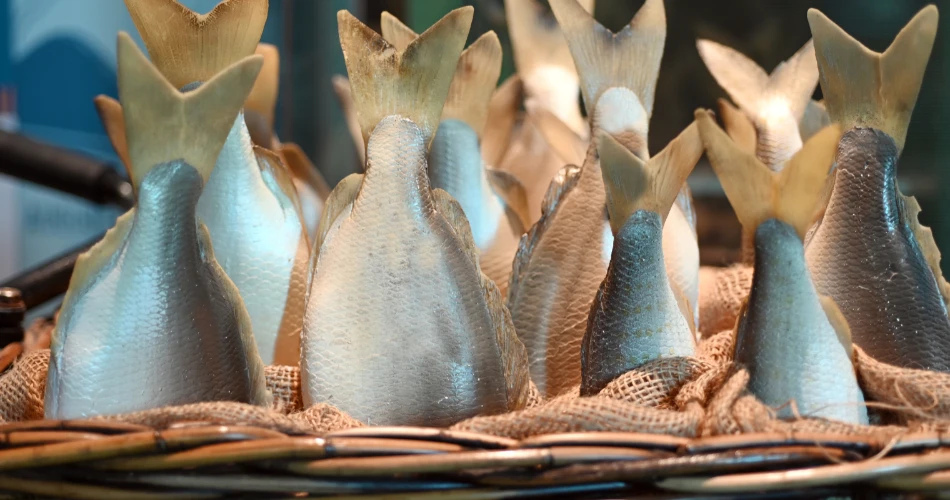 Fishing Experiences at Madh Island