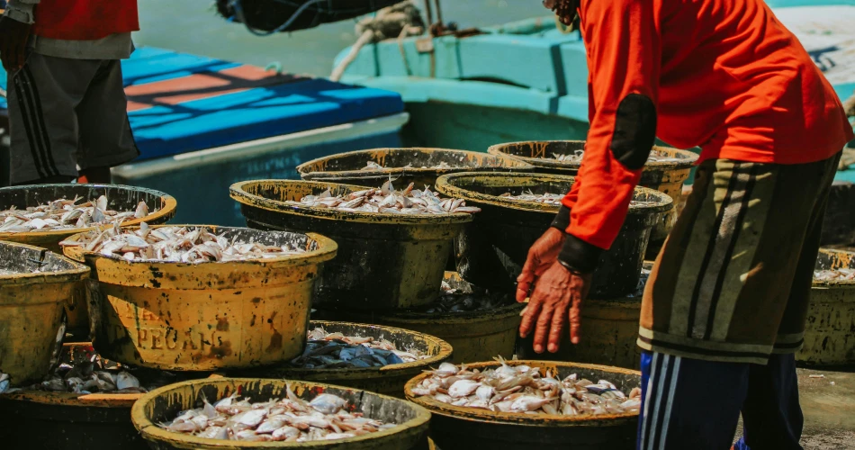 Fishing Experiences at Madh Island